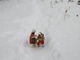 Домашние пушистики