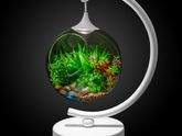 Светильник Apeyron . Есть отзывы ?