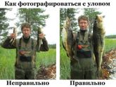 Про прививки. Блог врача, сперто.