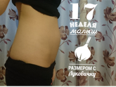 23 недели ?