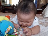 мой шладкий птеродактиль