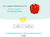 20 недель