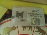 Начальница!!!