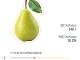 17 недель беременности ??