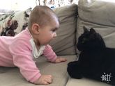 Давайте спасём хотя бы одного!