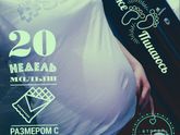 20 недель позади