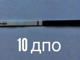 11 ДПО тест не поярчал