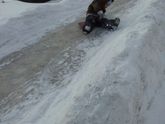Детский смех радует всех))