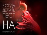 Когда же делать тест на беременность? ???