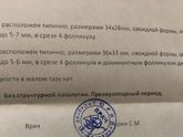 УЗИ ФОЛЛИКУЛОМЕТРИЯ