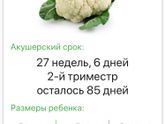 Осталось 12 недель.