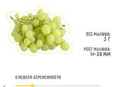 8 неделька