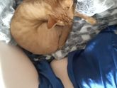 Доброе утро,девчули))