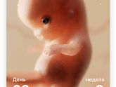 Последние наши новости
