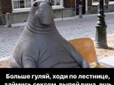 ????♂️?♂️