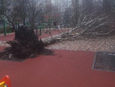 А у нас сегодня ветрено))