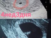 Прошло ровно две недели
