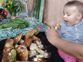 Грибник наш маленький))