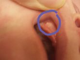 Клыки??? В 3 месяца!??