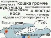 в точку ?
