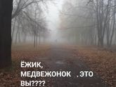 Туман в Орле