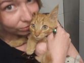 На сон грядущий...