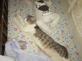 Мы растем
