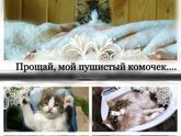 Прощай...?