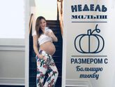 38 неделек