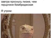 Фотография 2019-02-14 12:59:04