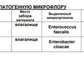 Посев на условно-патогенную микрофлору