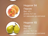 Приложение Беременность+