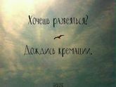 Целый день живу с