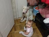 Пол и ползающий человек