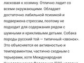 Собака 🐕
