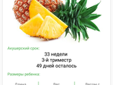 33 недели