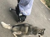Ну что, откатали мы