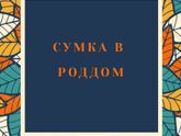 🔶️Сумка в Роддом🔶️