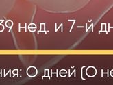 Ну гдеееее