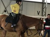 Лошадки 🐴😍🙏