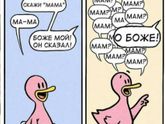 🤣🤣🤣