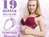 Наши 19 недель) которые