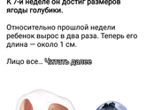 Верю? Благодарю???