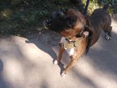 что не день-приключения