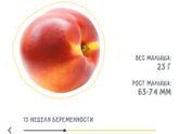 13 недель ?