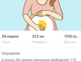 28 🤰😍