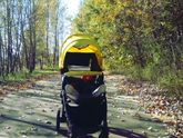 Гулять сегодня - одно удовольствие!🍁🍁🍁