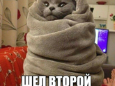 Лето,ты где???
