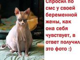 Очень актуально ?