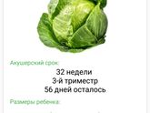 Нам 3️⃣2️⃣ недели